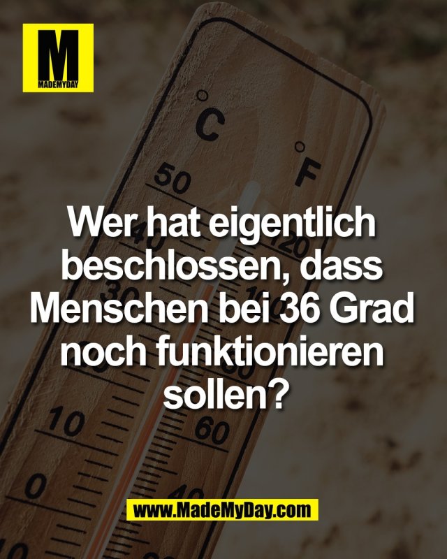 Wer hat eigentlich <br />
beschlossen, dass <br />
Menschen bei 36 Grad <br />
noch funktionieren <br />
sollen?
