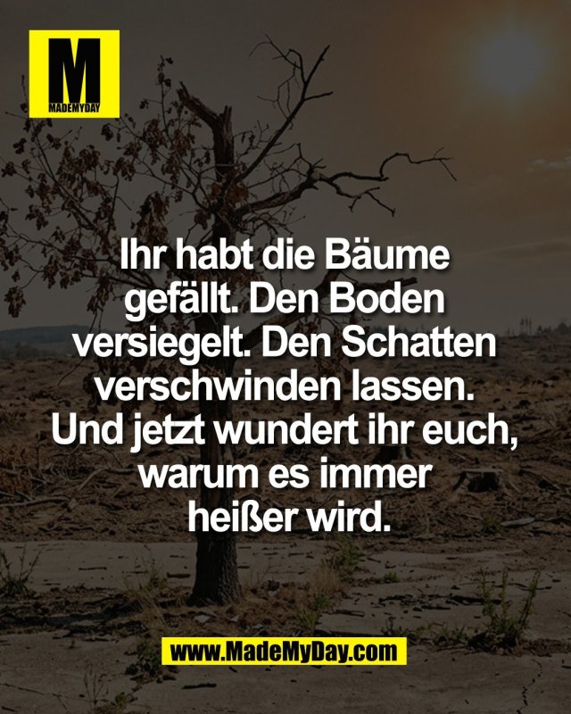 Ihr habt die B&auml;ume <br />
gef&auml;llt. Den Boden <br />
versiegelt. Den Schatten <br />
verschwinden lassen. <br />
Und jetzt wundert ihr euch, <br />
warum es immer <br />
hei&szlig;er wird.<br />
