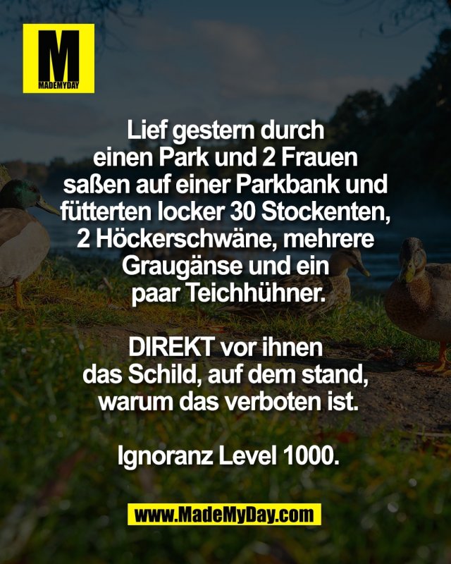 Lief gestern durch <br />
einen Park und 2 Frauen <br />
sa&szlig;en auf einer Parkbank und <br />
f&uuml;tterten locker 30 Stockenten, <br />
2 H&ouml;ckerschw&auml;ne, mehrere <br />
Graug&auml;nse und ein <br />
paar Teichh&uuml;hner.<br />
<br />
DIREKT vor ihnen <br />
das Schild, auf dem stand, <br />
warum das verboten ist.<br />
<br />
Ignoranz Level 1000.