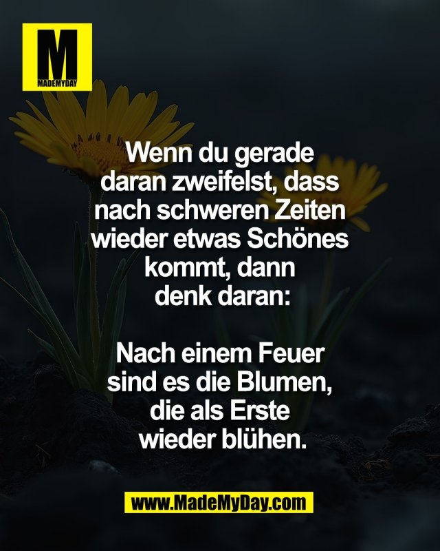 Wenn du gerade <br />
daran zweifelst, dass <br />
nach schweren Zeiten <br />
wieder etwas Sch&ouml;nes <br />
kommt, dann <br />
denk daran:<br />
<br />
Nach einem Feuer <br />
sind es die Blumen, <br />
die als Erste <br />
wieder bl&uuml;hen.