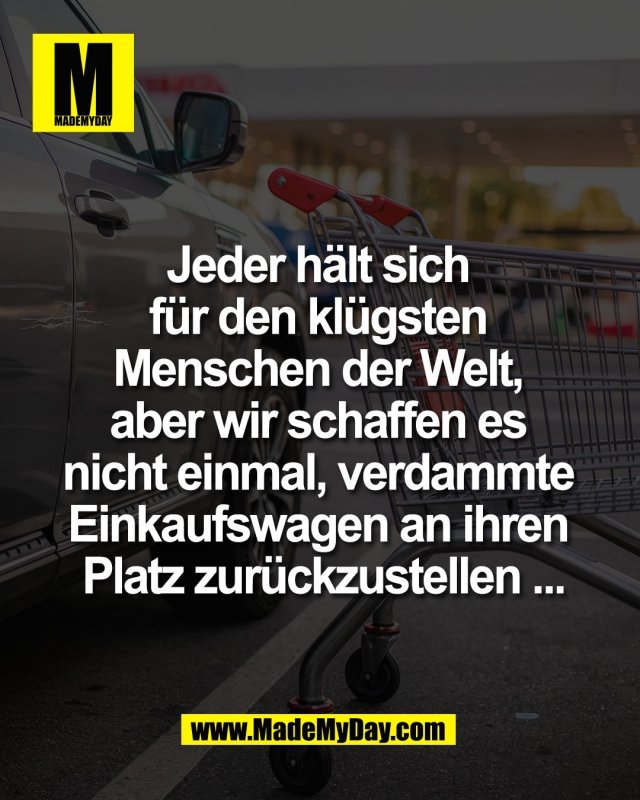 Jeder h&auml;lt sich <br />
f&uuml;r den kl&uuml;gsten <br />
Menschen der Welt, <br />
aber wir schaffen es <br />
nicht einmal, verdammte <br />
Einkaufswagen an ihren <br />
Platz zur&uuml;ckzustellen ...