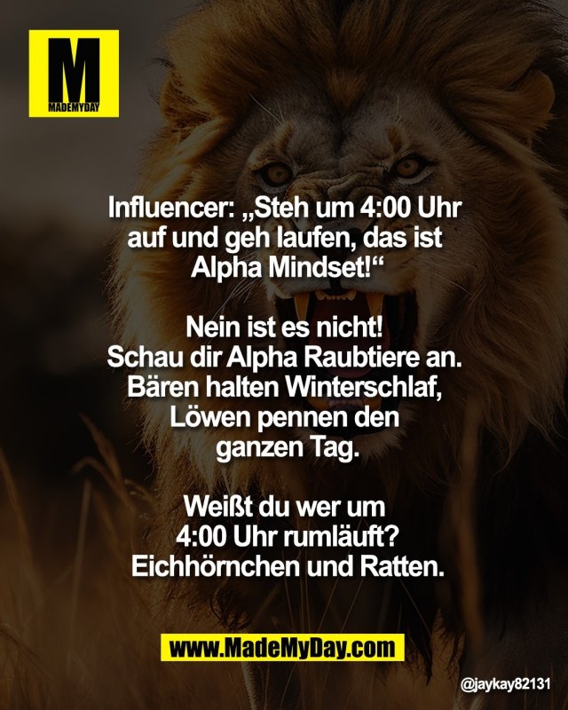 Influencer: &bdquo;Steh um 4:00 Uhr <br />
auf und geh laufen, das ist <br />
Alpha Mindset!&ldquo;<br />
<br />
Nein ist es nicht! <br />
Schau dir Alpha Raubtiere an. <br />
B&auml;ren halten Winterschlaf, <br />
L&ouml;wen pennen den <br />
ganzen Tag.<br />
<br />
Wei&szlig;t du wer um <br />
4:00 Uhr ruml&auml;uft?<br />
Eichh&ouml;rnchen und Ratten.
