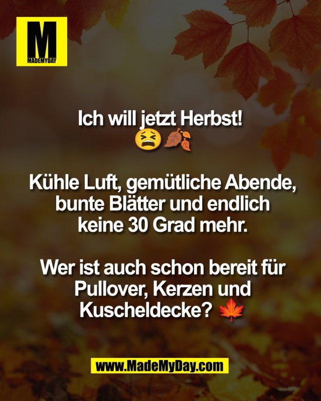 Ich will jetzt Herbst! <br />
😫🍂<br />
<br />
K&uuml;hle Luft, gem&uuml;tliche Abende,<br />
bunte Bl&auml;tter und endlich<br />
keine 30 Grad mehr.<br />
<br />
Wer ist auch schon bereit f&uuml;r<br />
Pullover, Kerzen und<br />
Kuscheldecke? 🍁