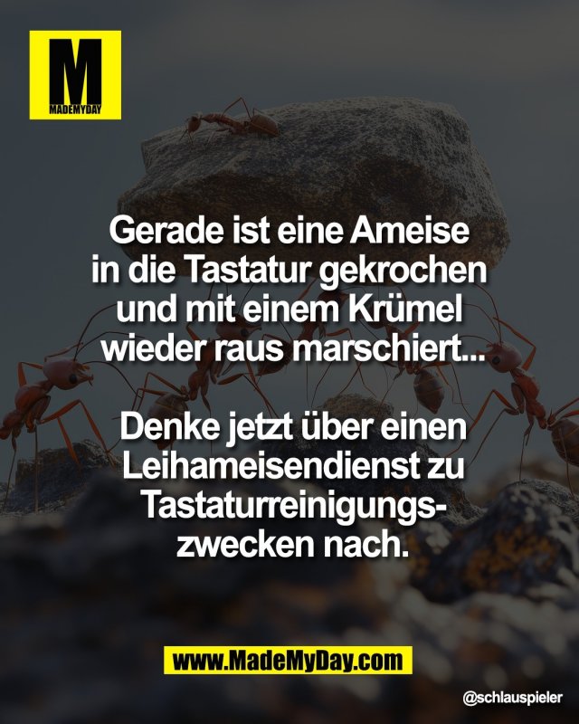 Gerade ist eine Ameise <br />
in die Tastatur gekrochen <br />
und mit einem Kr&uuml;mel <br />
wieder raus marschiert...<br />
<br />
Denke jetzt &uuml;ber einen<br />
Leihameisendienst zu<br />
Tastaturreinigungs-<br />
zwecken nach.
