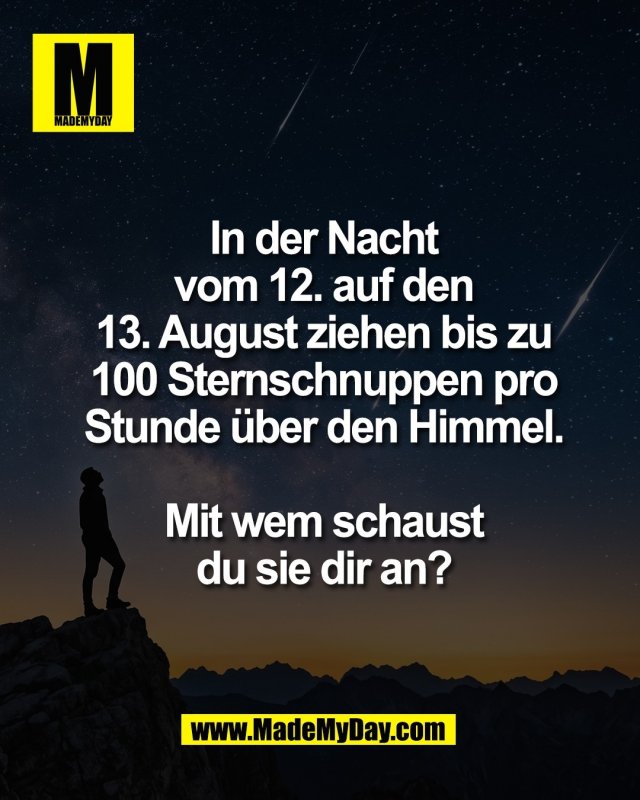 In der Nacht<br />
vom 12. auf den<br />
13. August ziehen bis zu<br />
100 Sternschnuppen pro<br />
Stunde &uuml;ber den Himmel.<br />
<br />
Mit wem schaust<br />
du sie dir an?