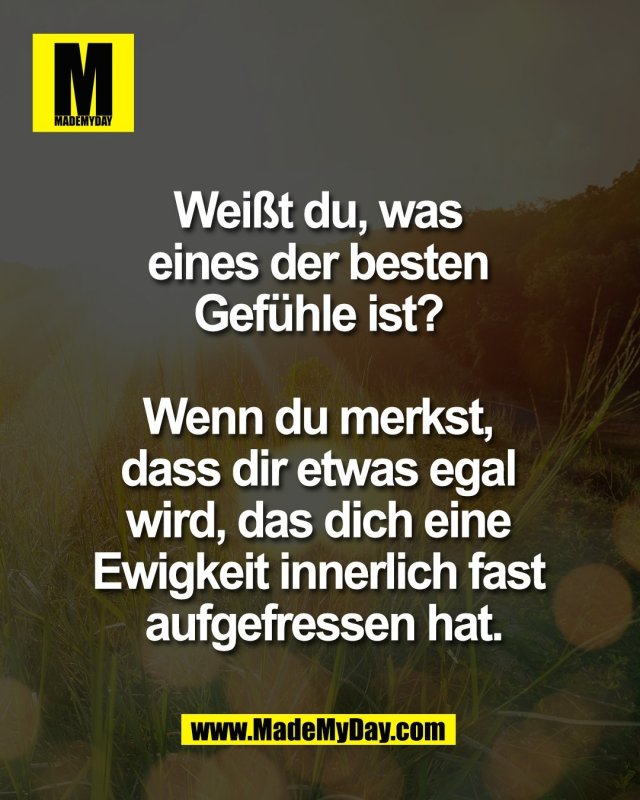Wei&szlig;t du, was <br />
eines der besten <br />
Gef&uuml;hle ist? <br />
<br />
Wenn du merkst, <br />
dass dir etwas egal <br />
wird, das dich eine <br />
Ewigkeit innerlich fast <br />
aufgefressen hat.