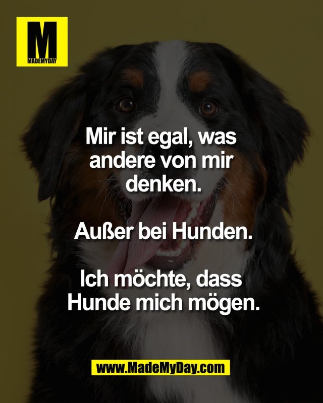 Mir ist egal, was <br />
andere von mir <br />
denken.<br />
<br />
Au&szlig;er bei Hunden.<br />
<br />
Ich m&ouml;chte, dass <br />
Hunde mich m&ouml;gen.