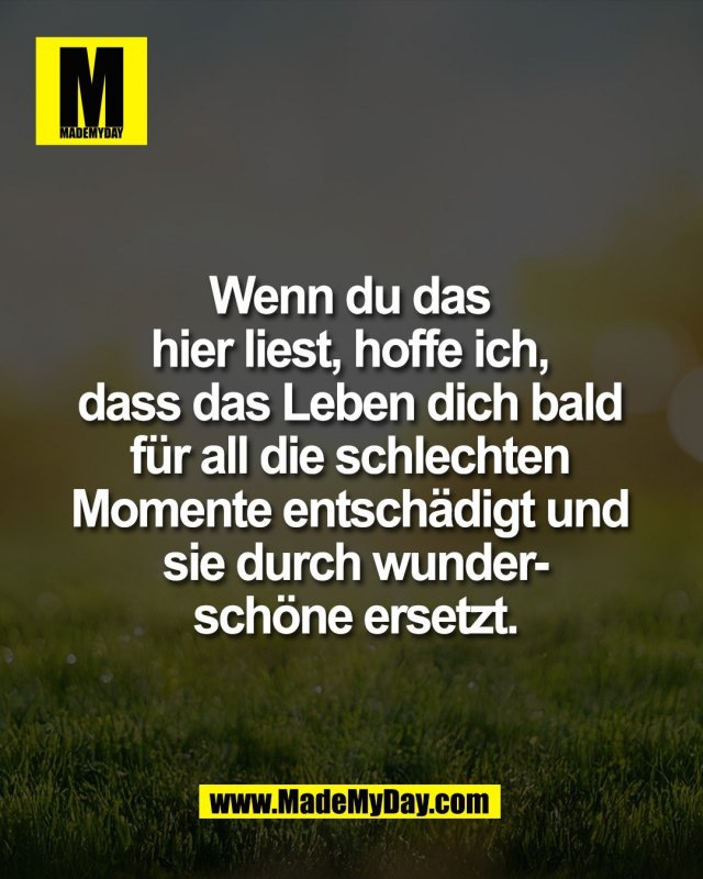 Wenn du das <br />
hier liest, hoffe ich, <br />
dass das Leben dich bald <br />
f&uuml;r all die schlechten <br />
Momente entsch&auml;digt und <br />
sie durch wunder-<br />
sch&ouml;ne ersetzt.