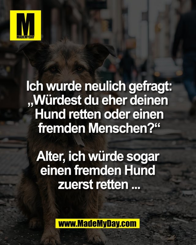 Ich wurde neulich gefragt:<br />
&bdquo;W&uuml;rdest du eher deinen <br />
Hund retten oder einen<br />
fremden Menschen?&ldquo;<br />
<br />
Alter, ich w&uuml;rde sogar <br />
einen fremden Hund <br />
zuerst retten ...