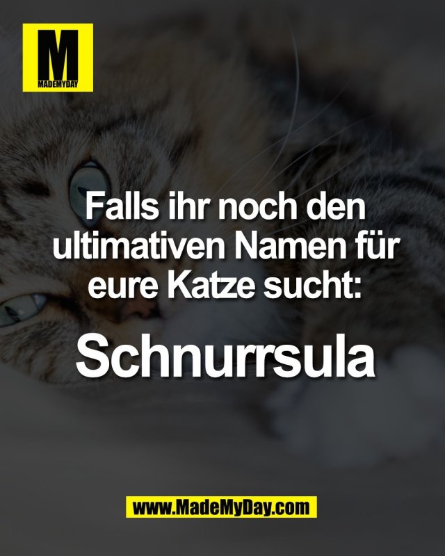 Falls ihr noch den<br />
ultimativen Namen f&uuml;r<br />
eure Katze sucht:<br />
<br />
Schnurrsula.