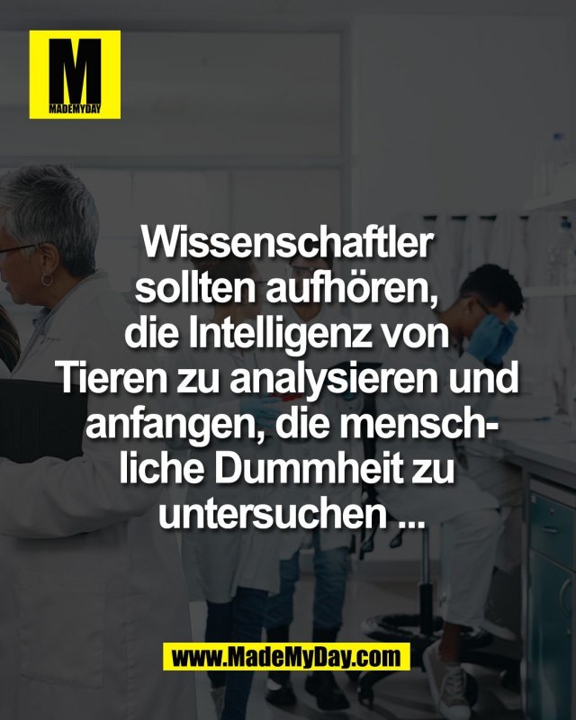 Wissenschaftler <br />
sollten aufh&ouml;ren, <br />
die Intelligenz von <br />
Tieren zu analysieren und <br />
anfangen, die mensch-<br />
liche Dummheit zu <br />
untersuchen ...<br />
