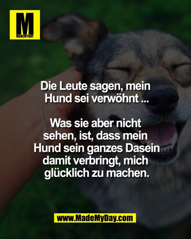Die Leute sagen, mein <br />
Hund sei verw&ouml;hnt ...<br />
<br />
Was sie aber nicht <br />
sehen, ist, dass mein <br />
Hund sein ganzes Dasein<br />
damit verbringt, mich <br />
gl&uuml;cklich zu machen.