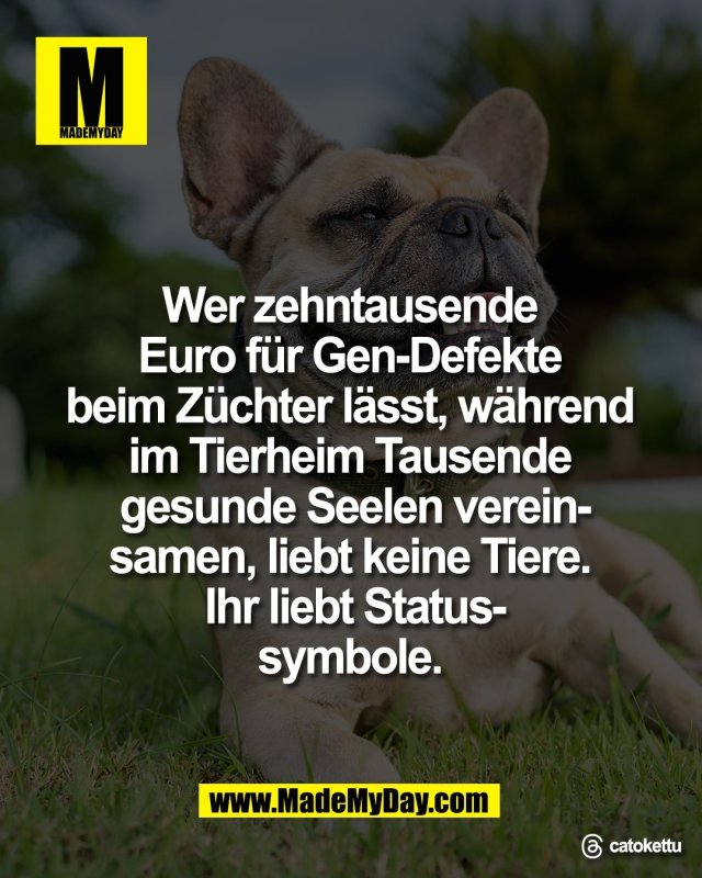 Wer zehntausende <br />
Euro f&uuml;r Gen-Defekte <br />
beim Z&uuml;chter l&auml;sst, w&auml;hrend <br />
im Tierheim Tausende <br />
gesunde Seelen verein-<br />
samen, liebt keine Tiere. <br />
Ihr liebt Status-<br />
symbole. <br />
<br />
Threads: catokettu
