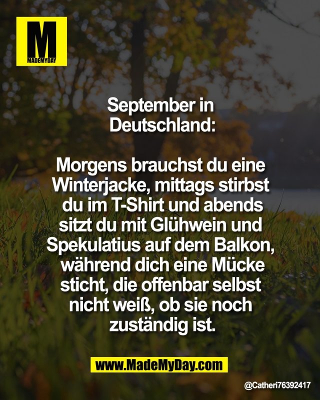 September in <br />
Deutschland:<br />
<br />
Morgens brauchst du eine <br />
Winterjacke, mittags stirbst <br />
du im T-Shirt und abends<br />
sitzt du mit Gl&uuml;hwein und <br />
Spekulatius auf dem Balkon, <br />
w&auml;hrend dich eine M&uuml;cke<br />
sticht, die offenbar selbst <br />
nicht wei&szlig;, ob sie noch <br />
zust&auml;ndig ist.