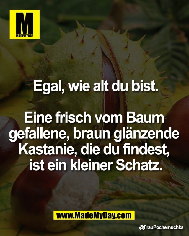 Egal, wie alt du bist.<br />
<br />
Eine frisch vom Baum <br />
gefallene, braun gl&auml;nzende <br />
Kastanie, die du findest, <br />
ist ein kleiner Schatz.
