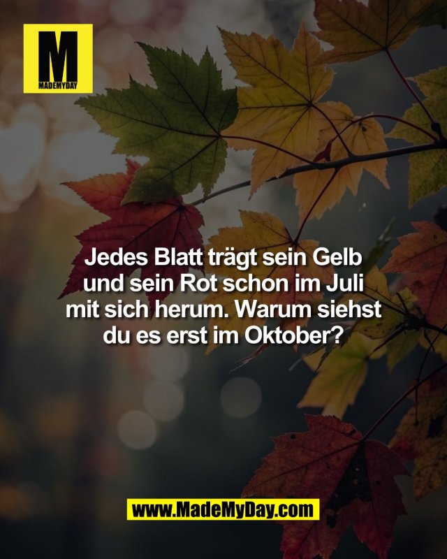 Die Antwort ist einfacher, als alle glauben. Und trotzdem kommt kaum jemand von allein drauf.