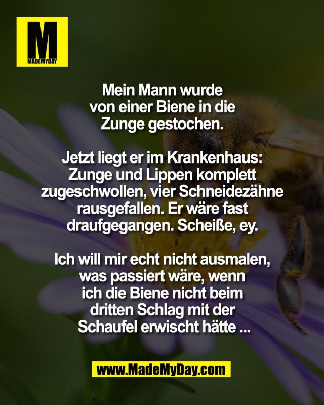 Mein Mann wurde <br />
von einer Biene in die <br />
Zunge gestochen. <br />
<br />
Jetzt liegt er im Krankenhaus: <br />
Zunge und Lippen komplett <br />
zugeschwollen, vier Schneidez&auml;hne <br />
rausgefallen. Er w&auml;re fast <br />
draufgegangen. Schei&szlig;e, ey. <br />
<br />
Ich will mir echt nicht ausmalen, <br />
was passiert w&auml;re, wenn <br />
ich die Biene nicht beim <br />
dritten Schlag mit der <br />
Schaufel erwischt h&auml;tte ...