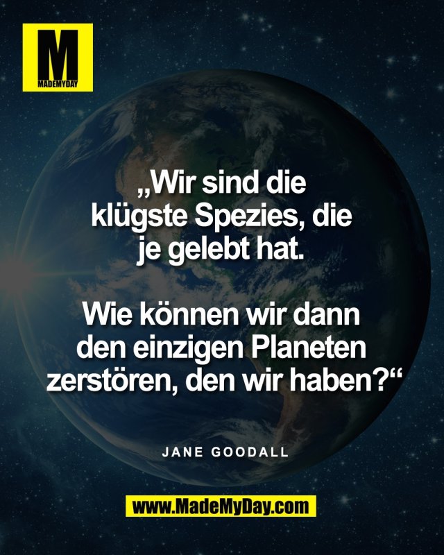 &bdquo;Wir sind die <br />
kl&uuml;gste Spezies, die <br />
je gelebt hat. <br />
<br />
Wie k&ouml;nnen wir dann <br />
den einzigen Planeten <br />
zerst&ouml;ren, den wir haben?&ldquo;<br />
<br />
Jane Goodall