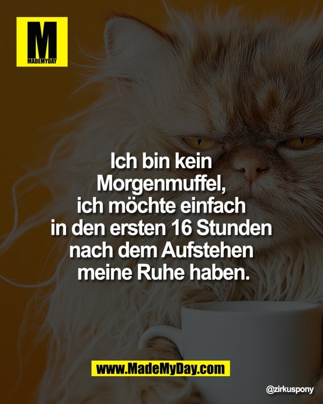 Ich bin kein <br />
Morgenmuffel, <br />
ich m&ouml;chte einfach <br />
in den ersten 16 Stunden <br />
nach dem Aufstehen <br />
meine Ruhe haben.