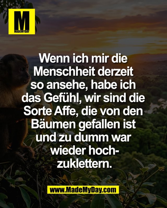 Wenn ich mir die <br />
Menschheit derzeit <br />
so ansehe, habe ich <br />
das Gef&uuml;hl, wir sind die <br />
Sorte Affe, die von den <br />
B&auml;umen gefallen ist <br />
und zu dumm war <br />
wieder hoch-<br />
zuklettern.