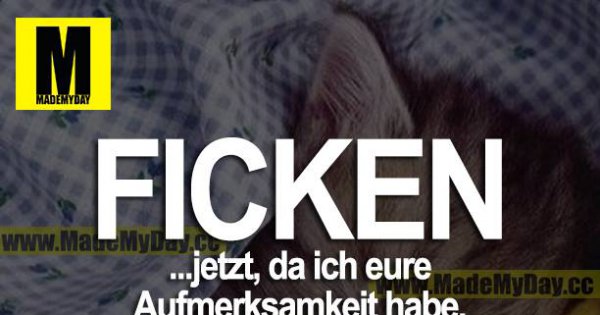 Ficken Sprüche Ficken Sprüche