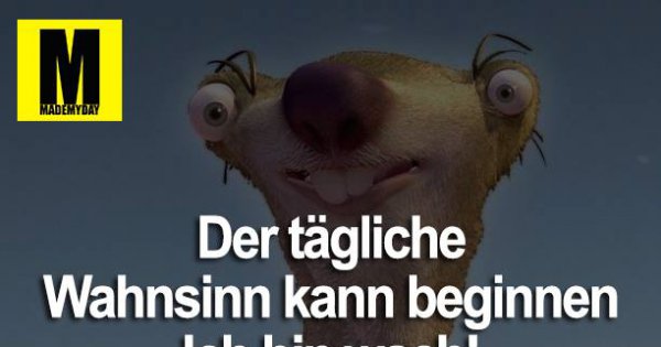 Guten Morgen Der Wahnsinn Kann Beginnen mademyday.com