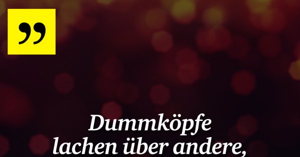 Dummköpfe lachen über andere, Weisheit Made My Day