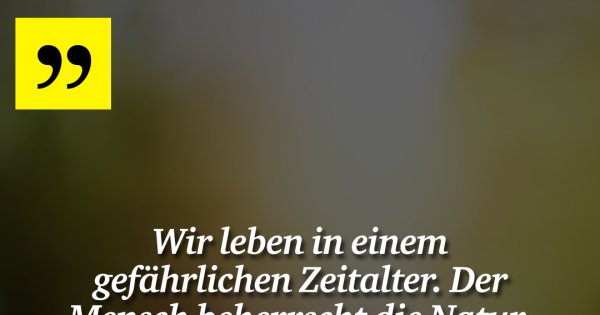 Wir leben in einem gefährlichen Made My Day
