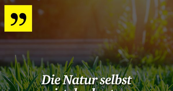 Die Natur selbst ist der Made My Day