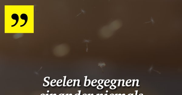 Download Zufaellig begegnungen sprueche HD