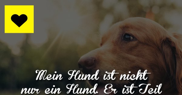 Mein Hund ist nicht nur Made My Day