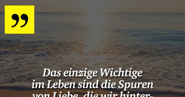 Download Das leben im einzig wichtige For Free