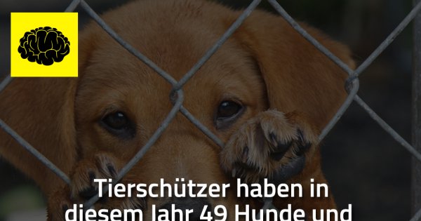 Tierschützer haben in diesem Jahr Made My Day