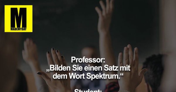 Professor Bilden Sie Einen Satz Made My Day