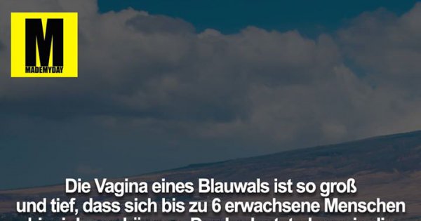 Download Krank spruch lustig Free Krank Spruch Lustig