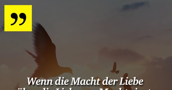 Wenn die Macht der Liebe Made My Day