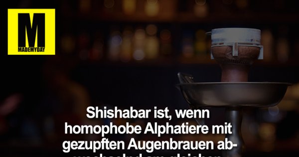Download Sauna sprueche witze For Android