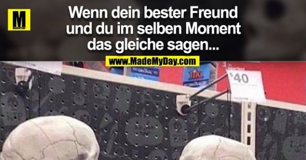 Wenn dein bester Freund und Made My Day