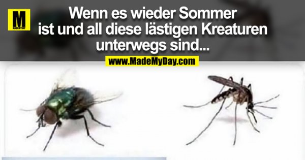 Wenn Es Wieder Sommer Ist Made My Day