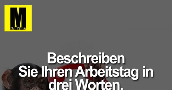 Download Arbeitsplatz irrenanstalt sprueche For Free