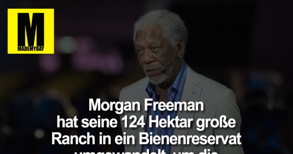 Freeman hat seine 124 Made My Day