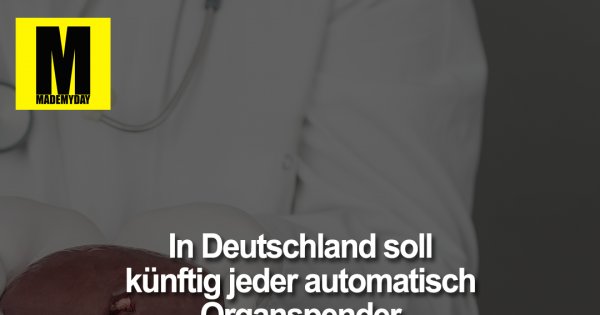 In Deutschland Soll Kunftig Jeder Made My Day