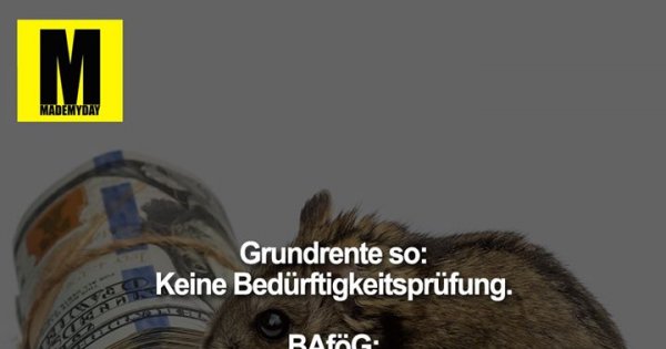 Grundrente So Keine Bedurftigkeitsprufung Made My Day