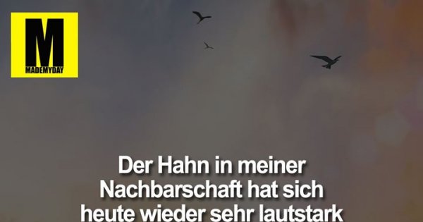 Flower Wird Verrückt Sobald Sie Einen Hahn Bekommt Flower Wird Verrückt Sobald Sie Einen Hahn Bekommt